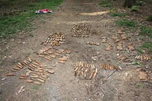 Obrázek v galerii